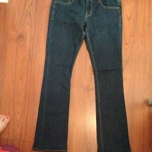 Express Dark Blue Flare Jeans